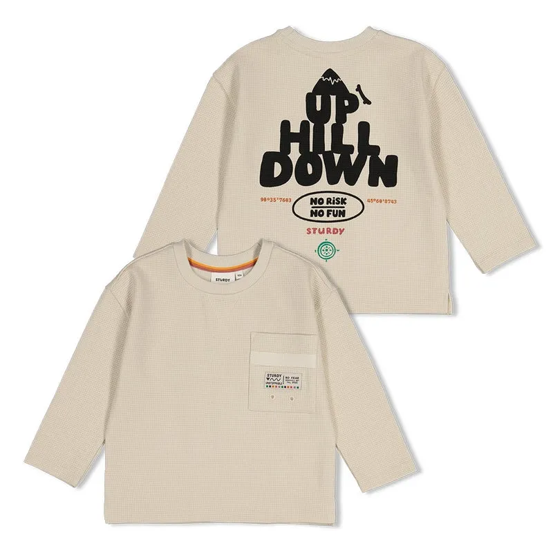 Sturdy Longsleeve mit Rückendruck Oversized Mountain Top Offwhite 71600656