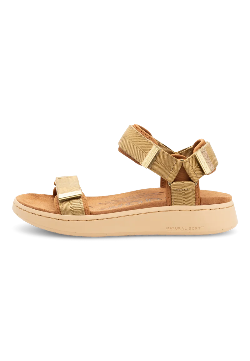 Line - Khaki
