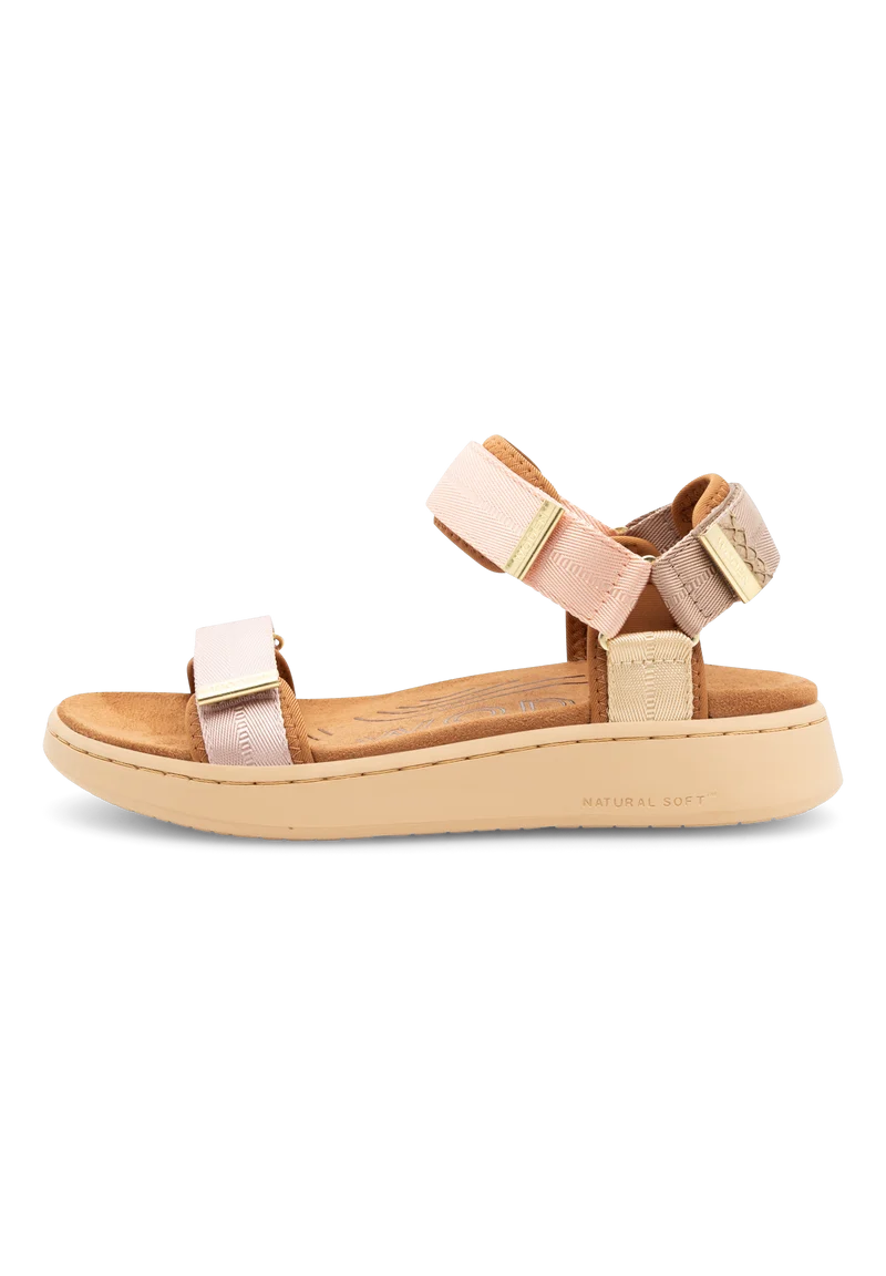 Line - Blush Multi