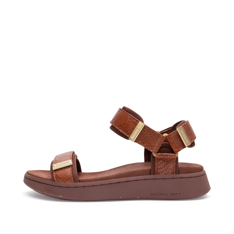 Line Fish - Brown